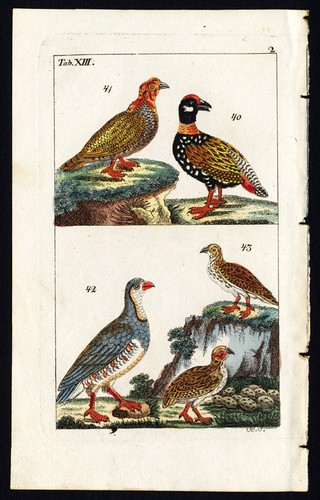Antique print black - antique, print-black