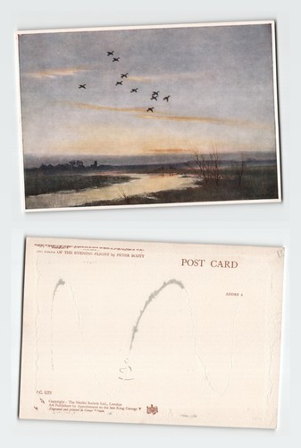 Vintage postcard peter - vintage,