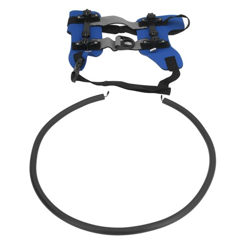Blind dog anti collision ring - anti,