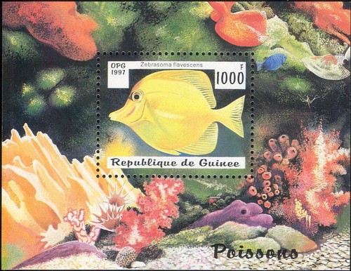 Guinea 1997