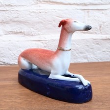 Staffordshire Whippet Dog