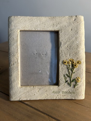 Vintage cottagecore botanical - cottagecore,