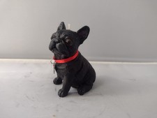 Cute little Black French