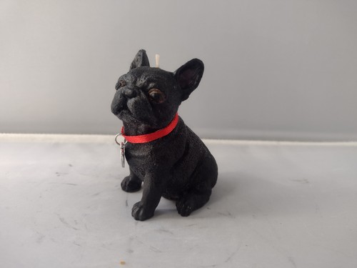 Cute little black french - cute,