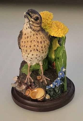 The country bird collection - country,