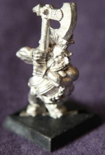 Dwarf Troll Slayer, Warhammer