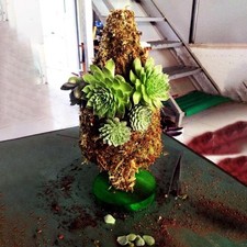  Artificial Succulent