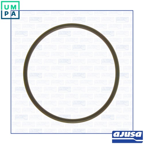 Gasket vacuum pump 16058800 - pump,
