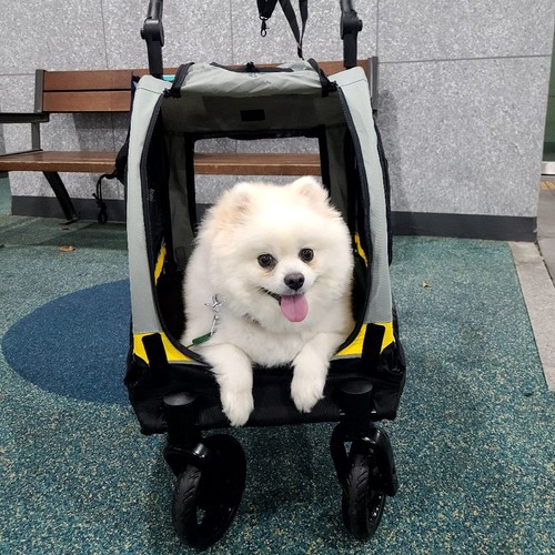 Portable pet crate for car - portable,