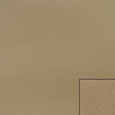 Four Winns Boat 1/8 Foam Back