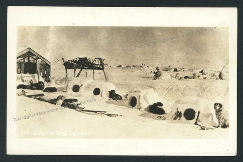 C1940s rppc eskimo dog igloos - c1940s,