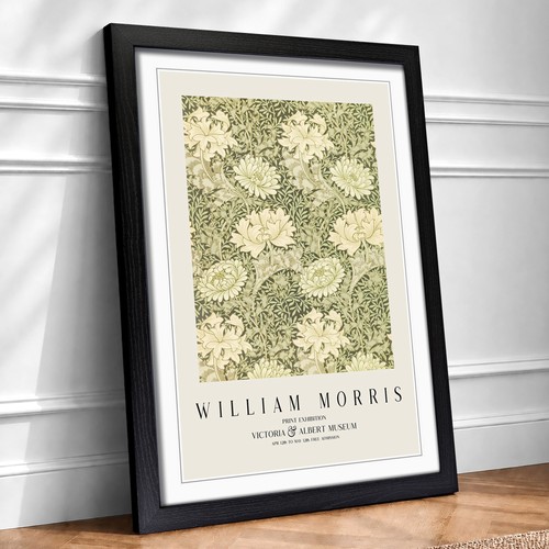 Chrysanthemum william morris - chrysanthemum,