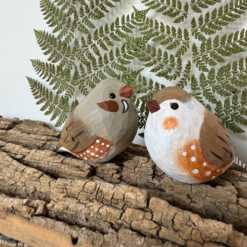 Zebra finch bird pair - zebra,