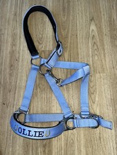 Cob Headcollar - Personalised