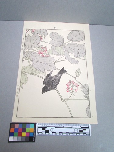 Woodblock print - woodblock,