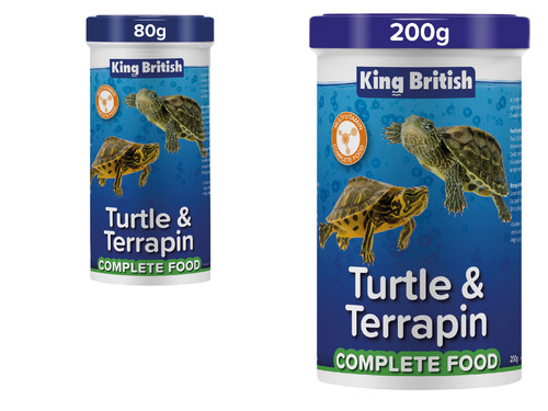King british turtle - king, terrapin