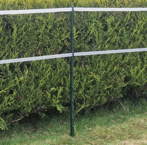 Green 5ft poly - green, posts