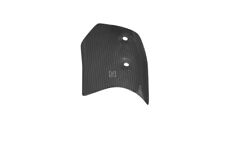 Carbon Exhaust Fairing for