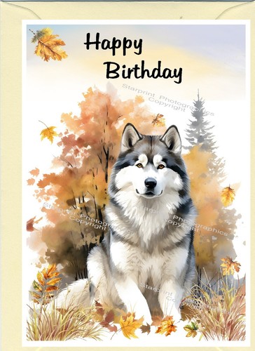 Alaskan malamute dog - alaskan,