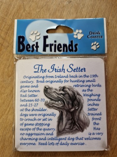 Irish setter coaster - irish,