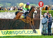 Kauto Star Jumping Horse Racing Legend New POSTER