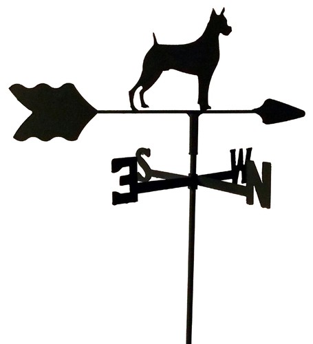 Boxer garden style - ,