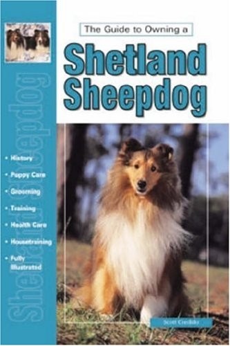 Guide owning shetland - guide, to