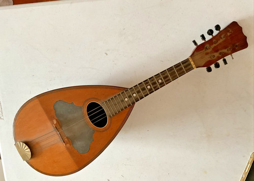 Antique bowl back mandolin - back,
