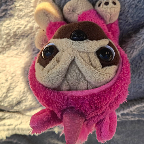 Pugshley pink pug plush - pugshley, soft