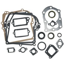 Gasket Set 590777 For Briggs &
