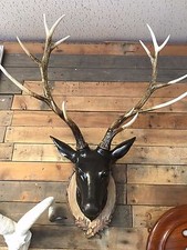 Stags Bust Stag Head Wall