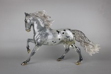 Breyer Custom Andalusian