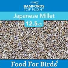 Bamfords japanese millet - bamfords, bird