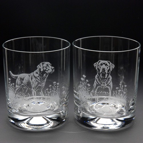 Labrador dog whiskey tumbler - whiskey,