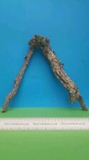 CORK BARK BRANCH 30CM LEOPARD