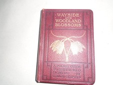 Wayside and Woodland Blossoms