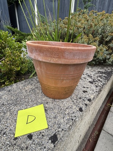 Vintage italy ev23 terracotta - italy,