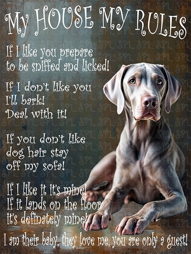 Great dane house rules - dane, my