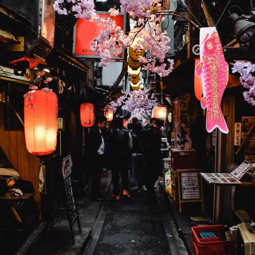 Japanese carp windsock - japanese,