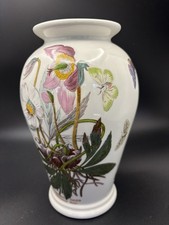 Portmeirion Botanic Garden 8"