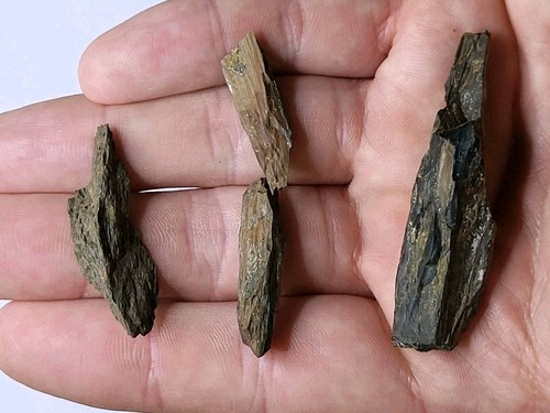 Set marine dinosaur - set, age