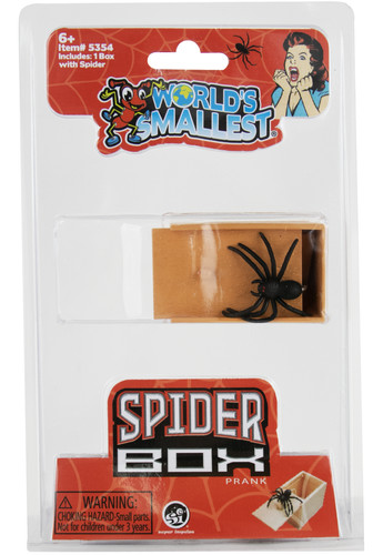 World smallest spider - spider, box