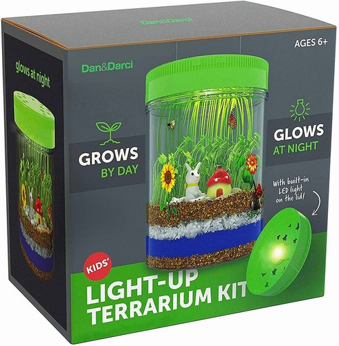 Light terrarium kit - light-up,