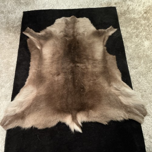 Genuine reindeer skin - genuine,