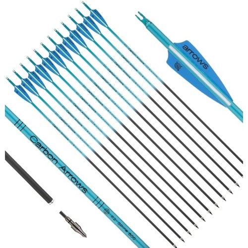 12x archery carbon - 12x, "carbon