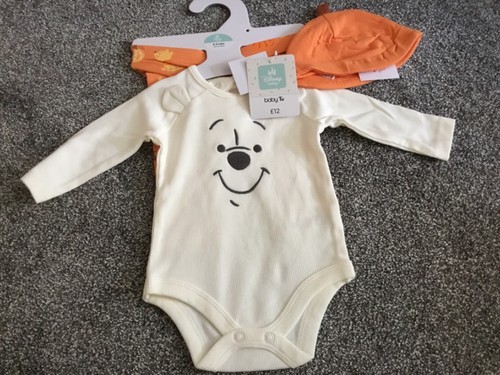 Disney winnie the pooh - winnie,