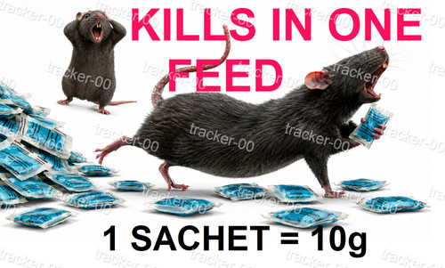 Rodent rat mouse strong - rat, killer