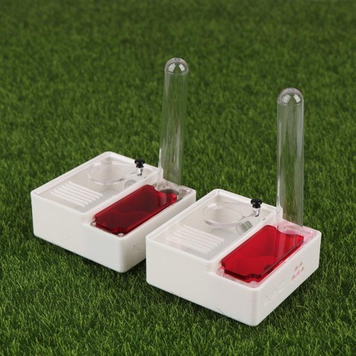 Printed ant farm queen - printed,