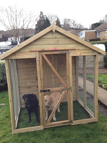 Dog kennel and run 8x6 - 8x6,