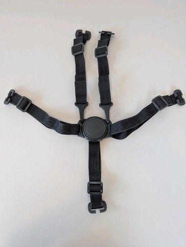 Icandy harness carbon - harness, grey